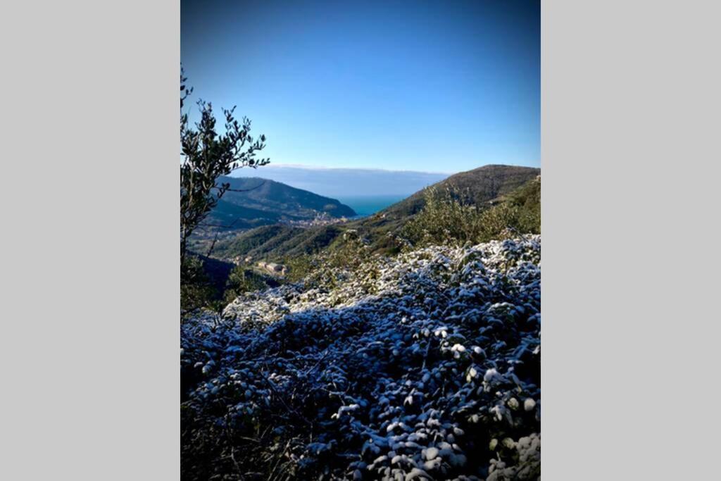 Casa Sara, Levanto, In Collina Ad Un Passo Dal Mare! Екстериор снимка